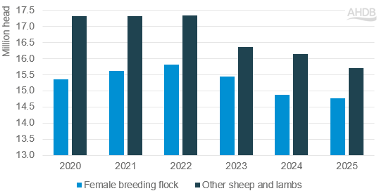 UK sheep population at 1 June